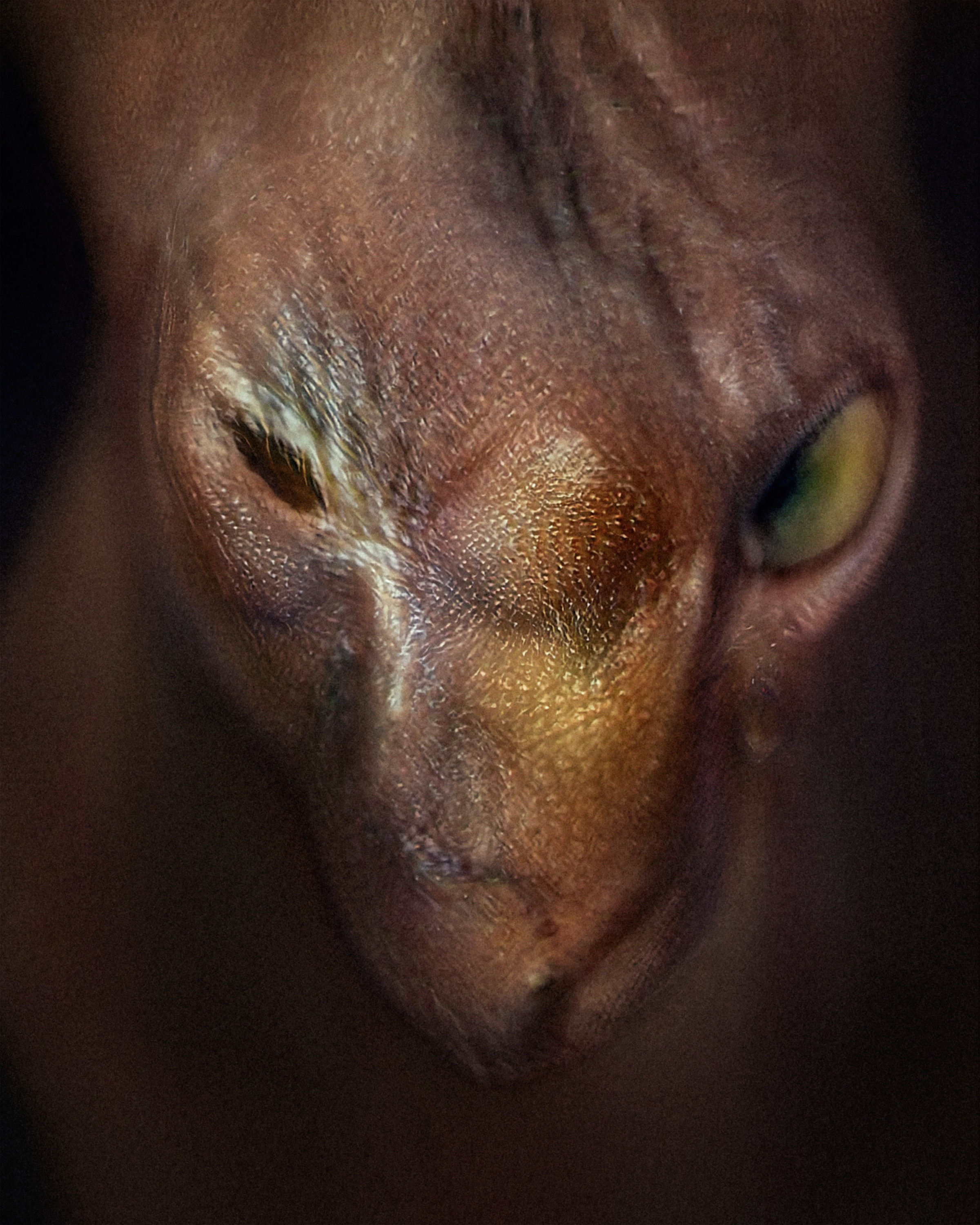 Gan Will Eat Itself by Ganbrood